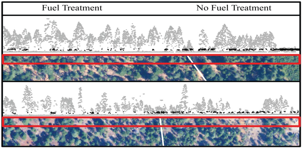 Forests 05 01432 g006 1024