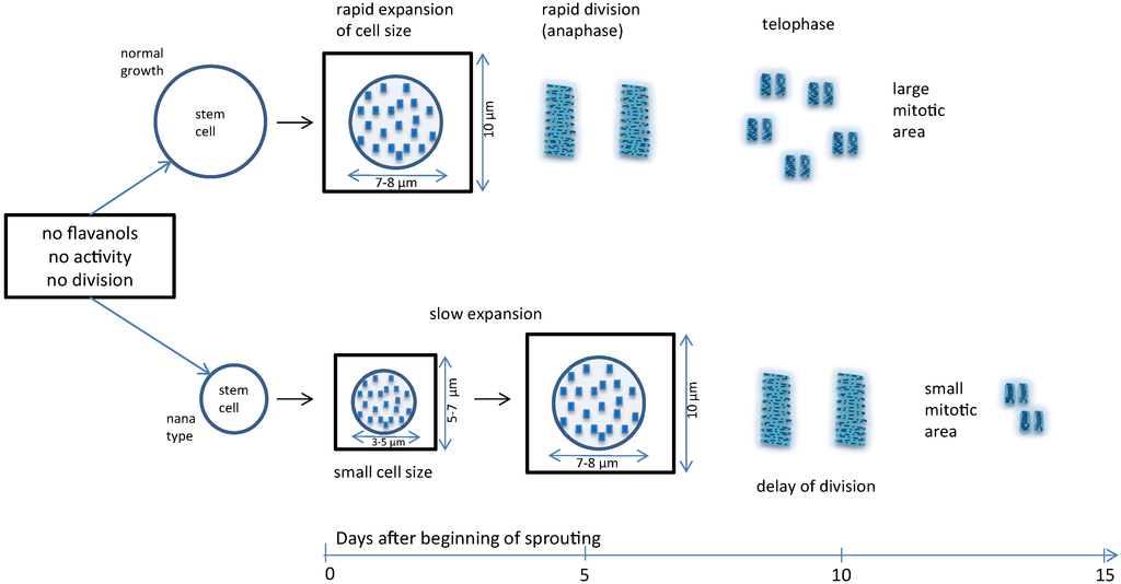 Forests 05 02122 g001 1024