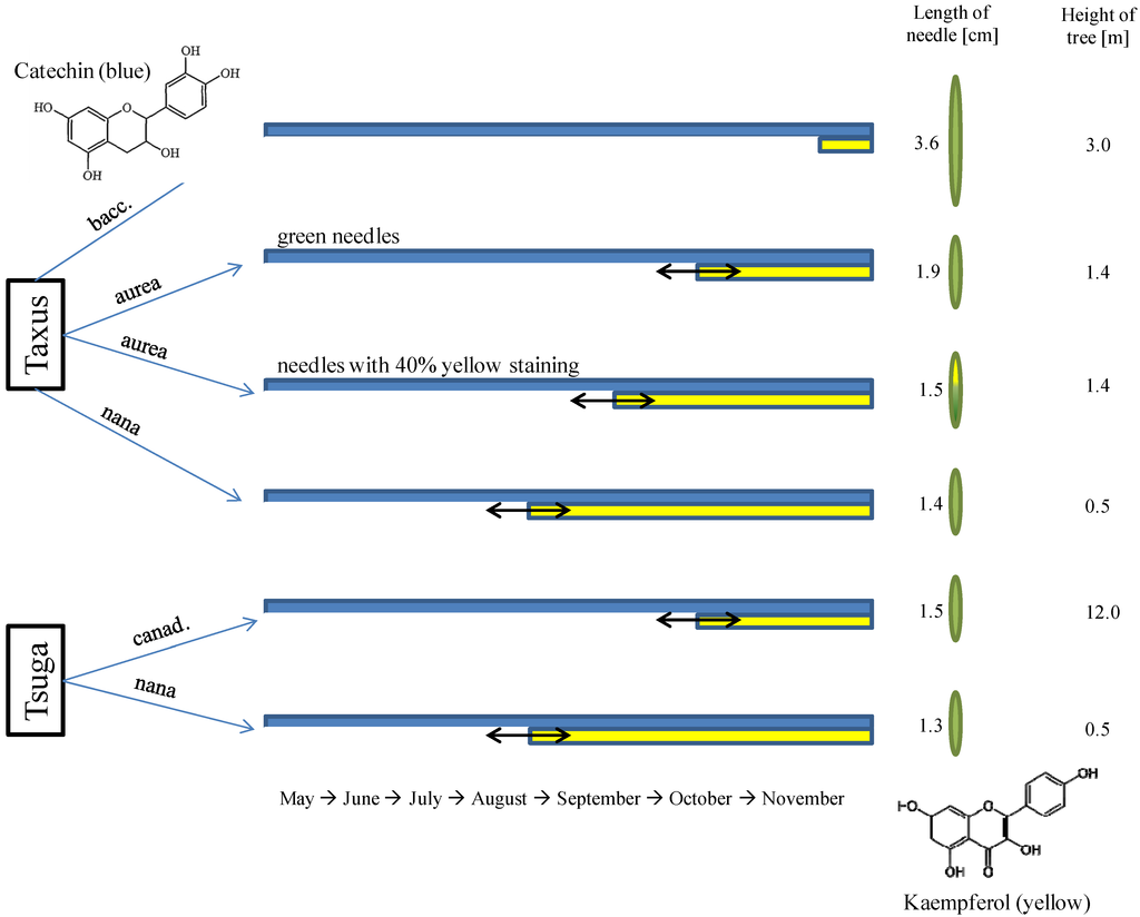 Forests 05 02122 g002 1024