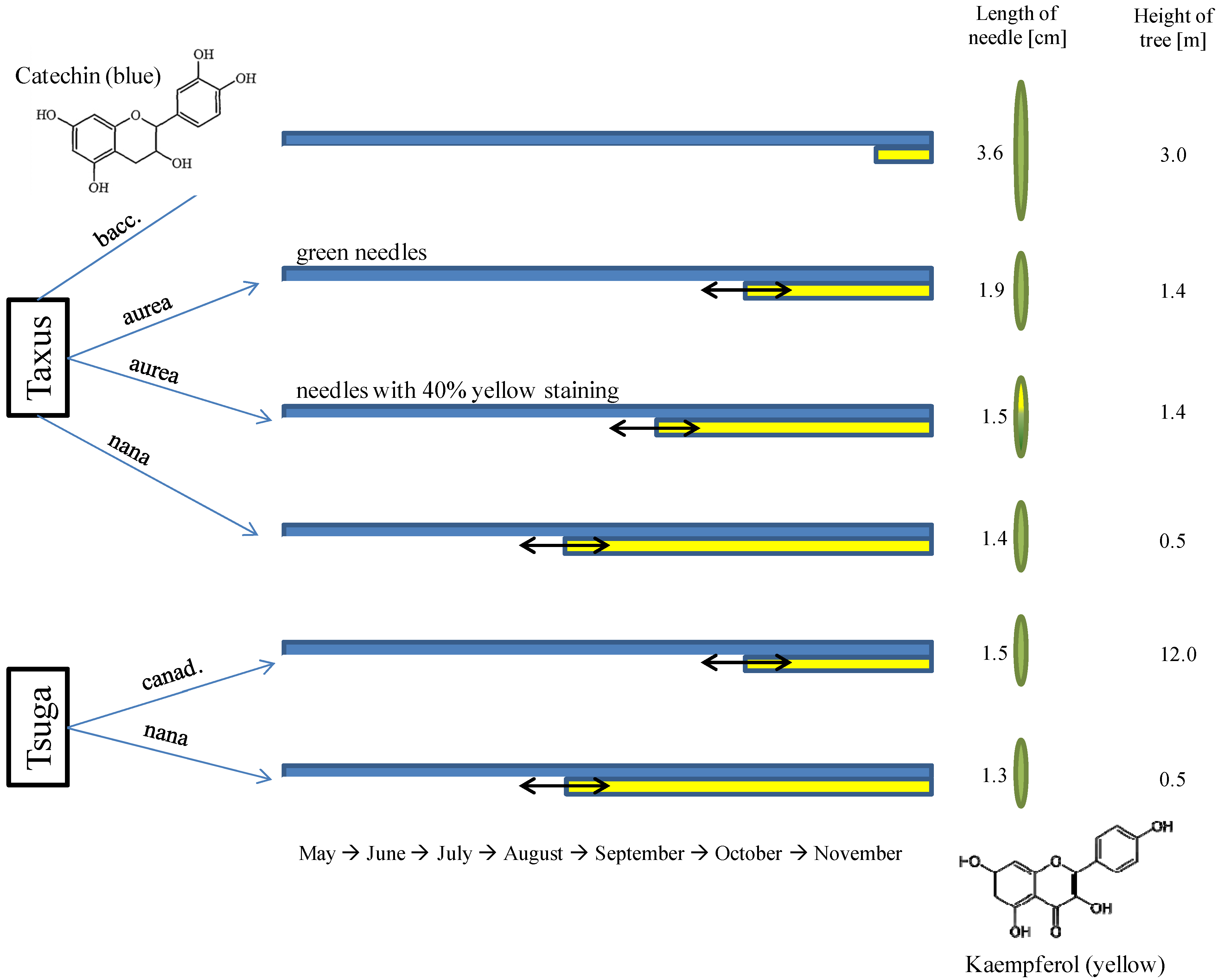 Forests 05 02122 g002