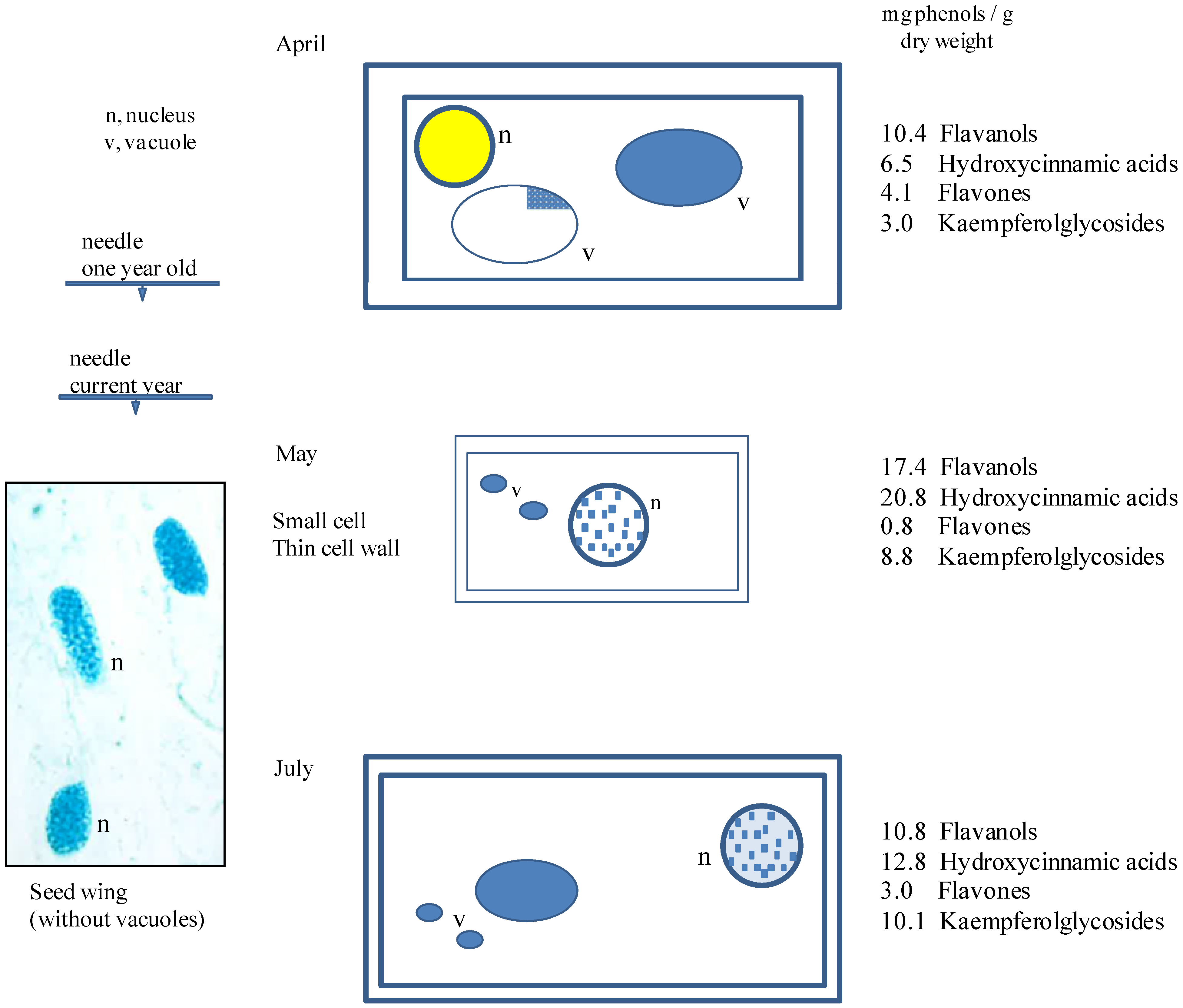 Forests 05 02122 g003