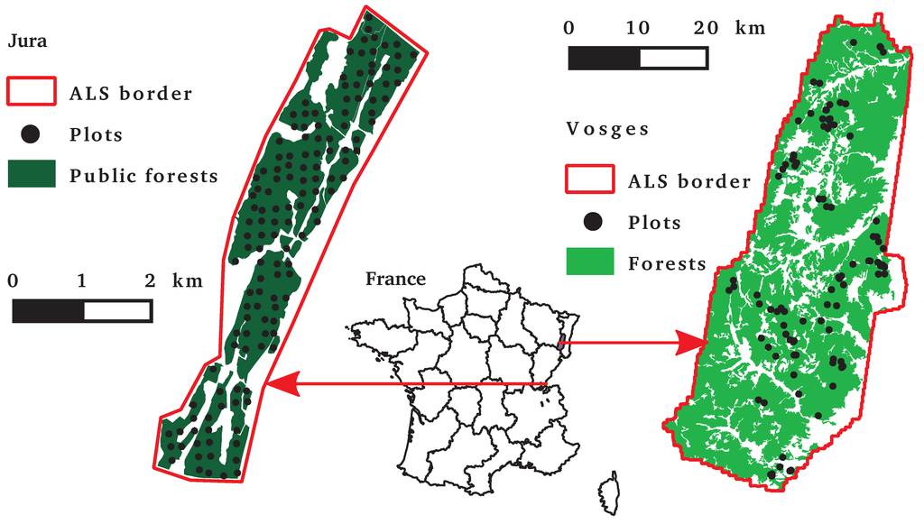 Forests 05 02307 g001 1024