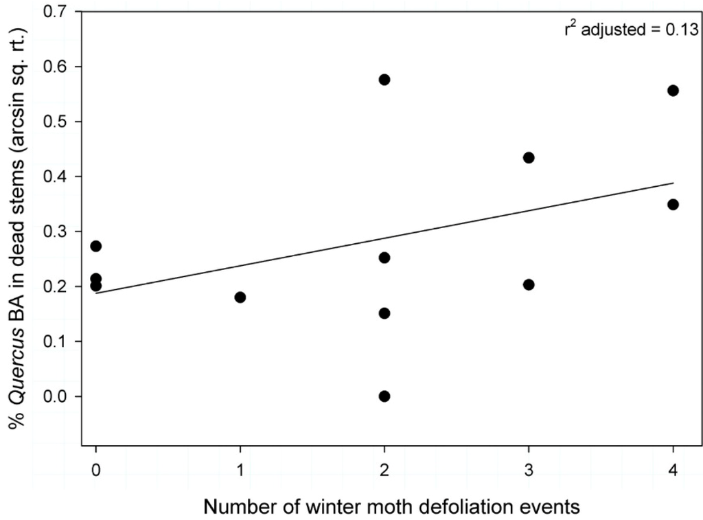 Forests 05 02440 g005 1024