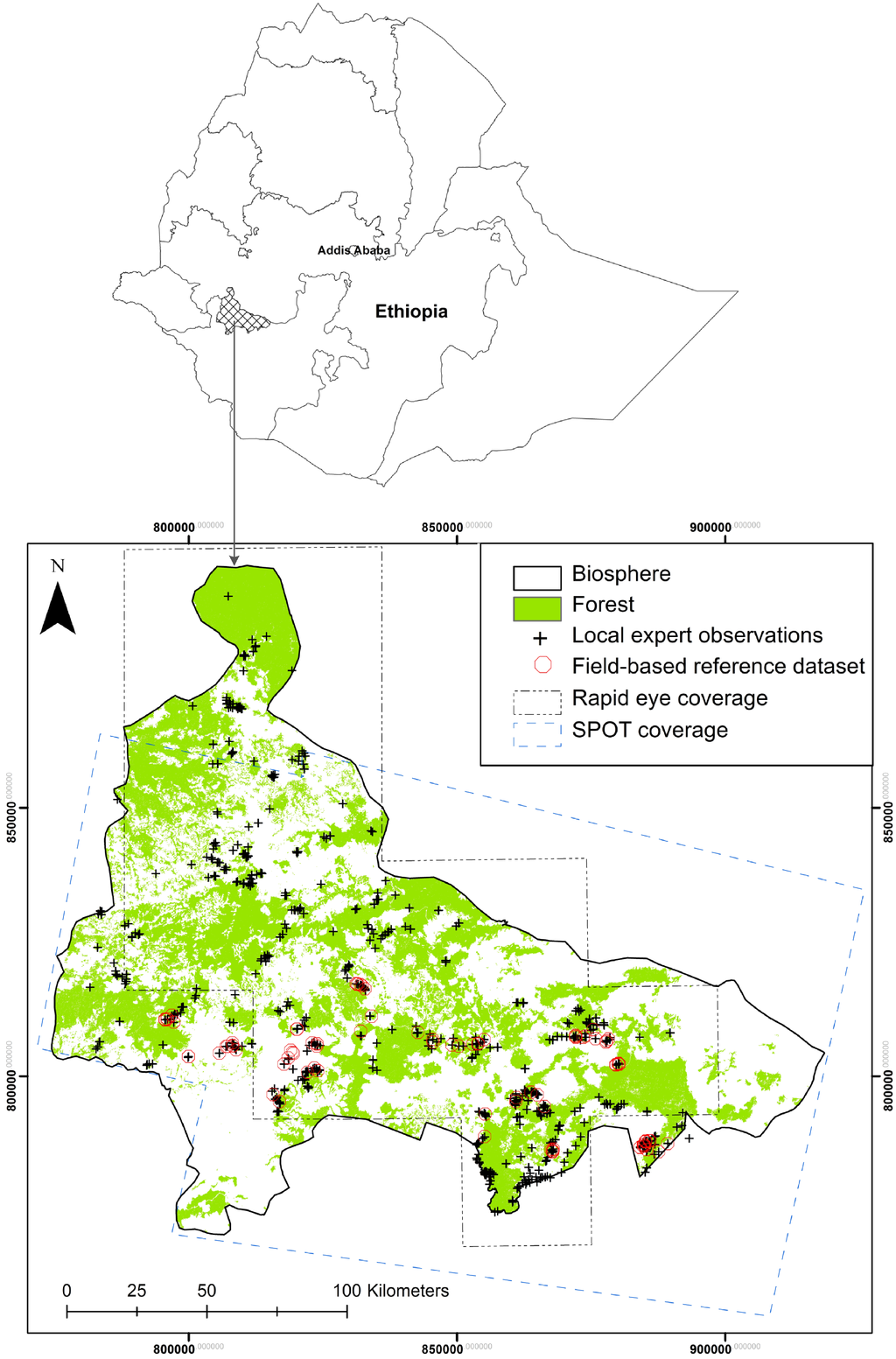 Forests 05 02464 g001 1024