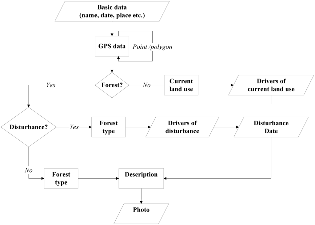 Forests 05 02464 g002 1024