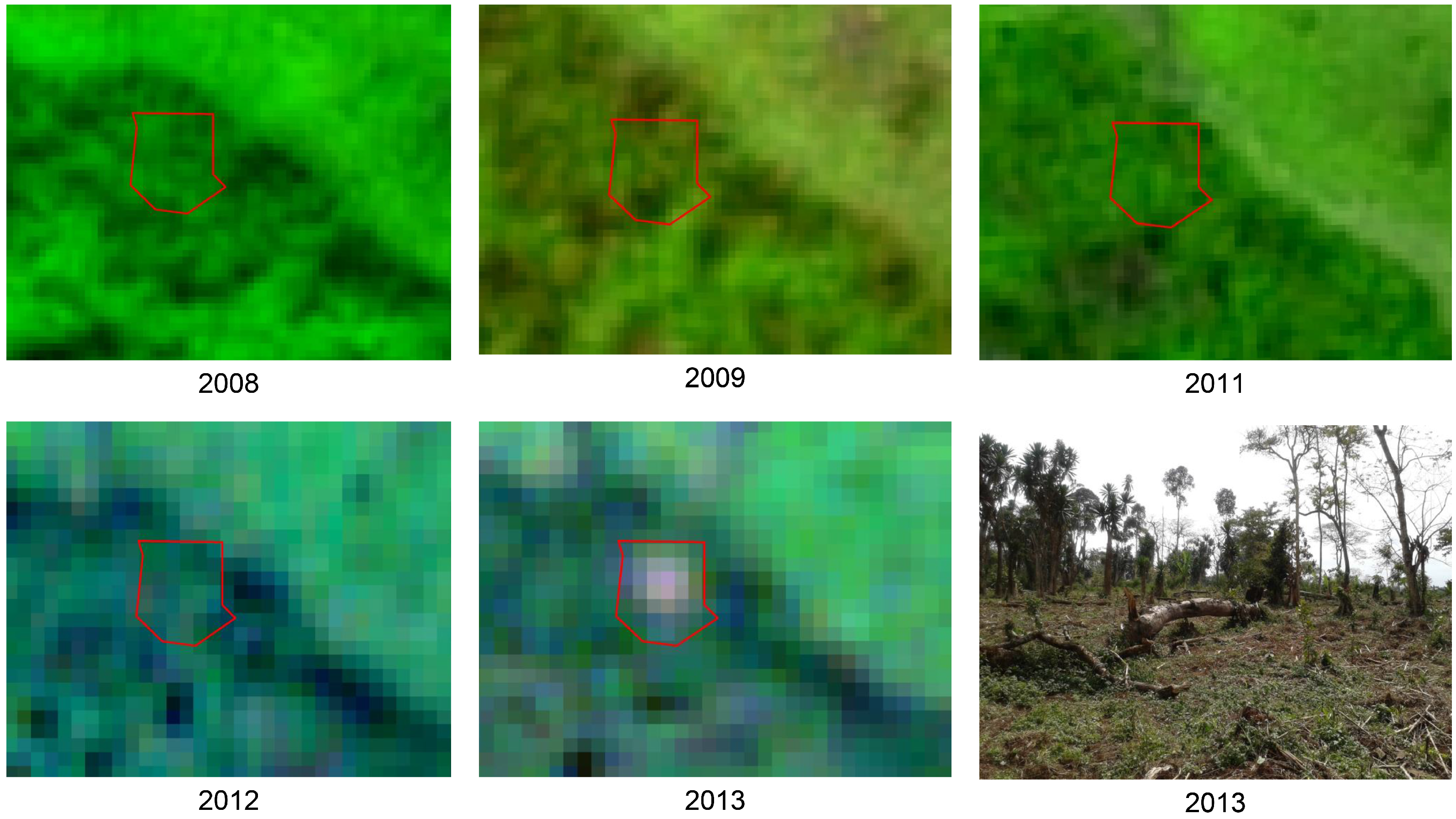 Forests 05 02464 g005