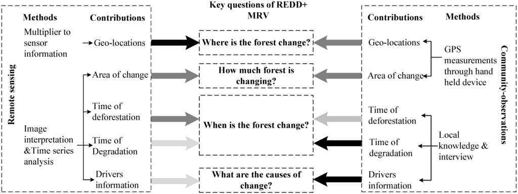 Forests 05 02464 g007 1024