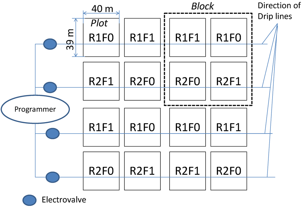 Forests 05 02505 g003 1024