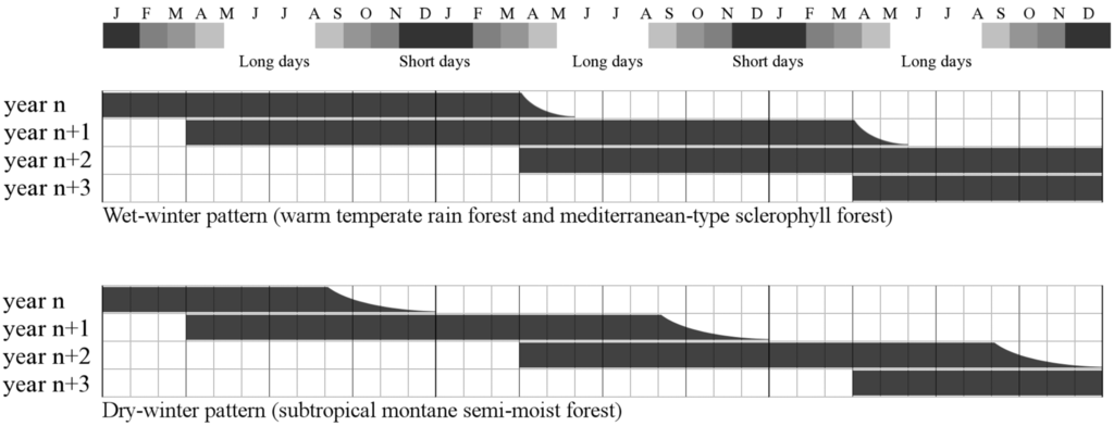 Forests 05 02594 g001 1024
