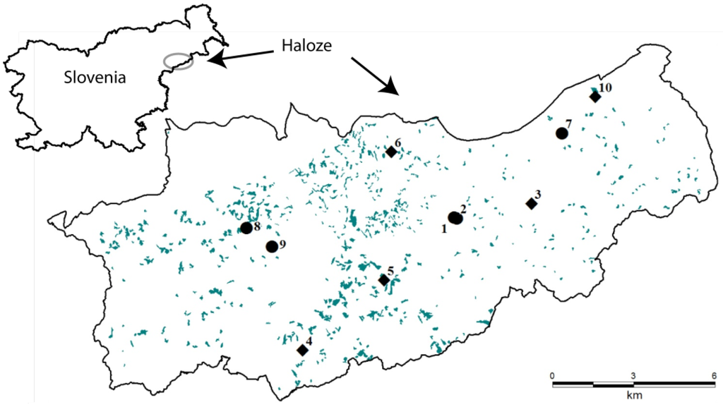 Forests 05 02658 g001 1024