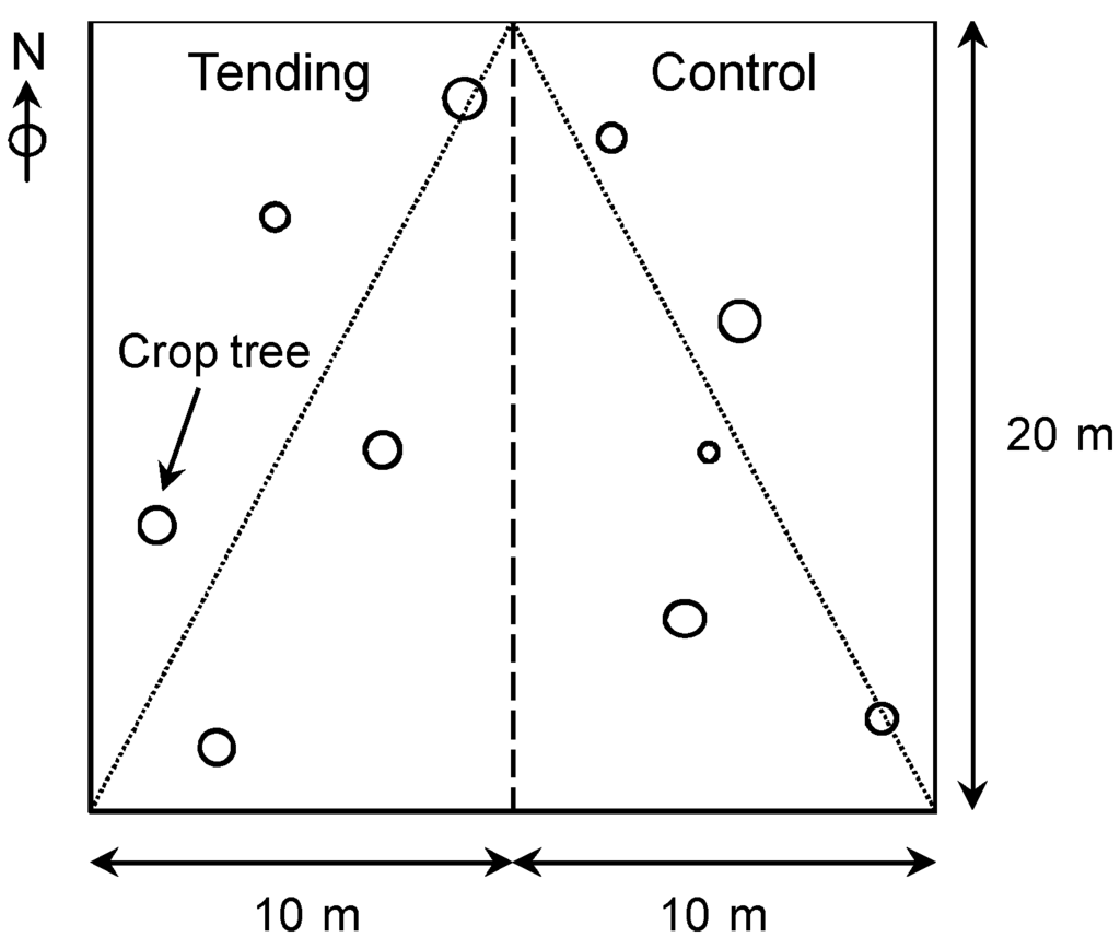 Forests 05 02658 g002 1024
