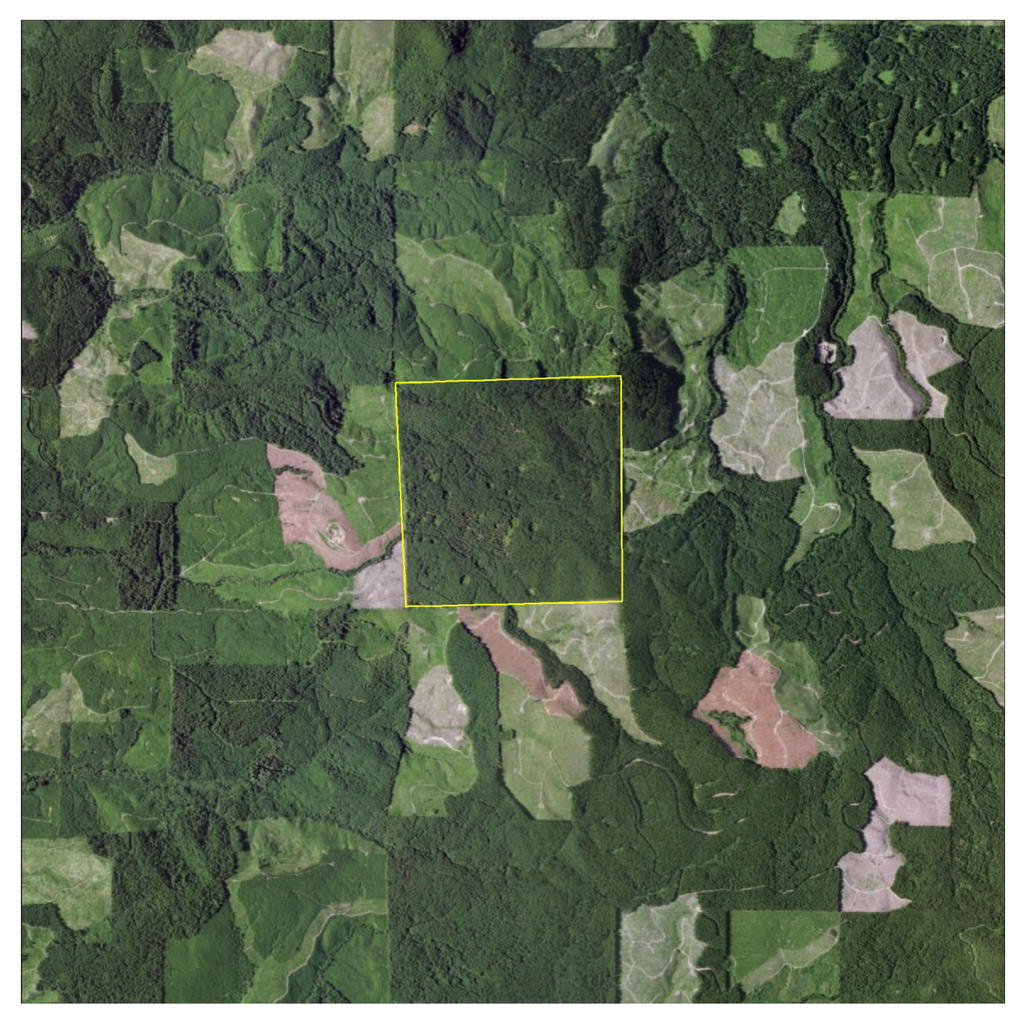 Forests 05 02703 g006 1024