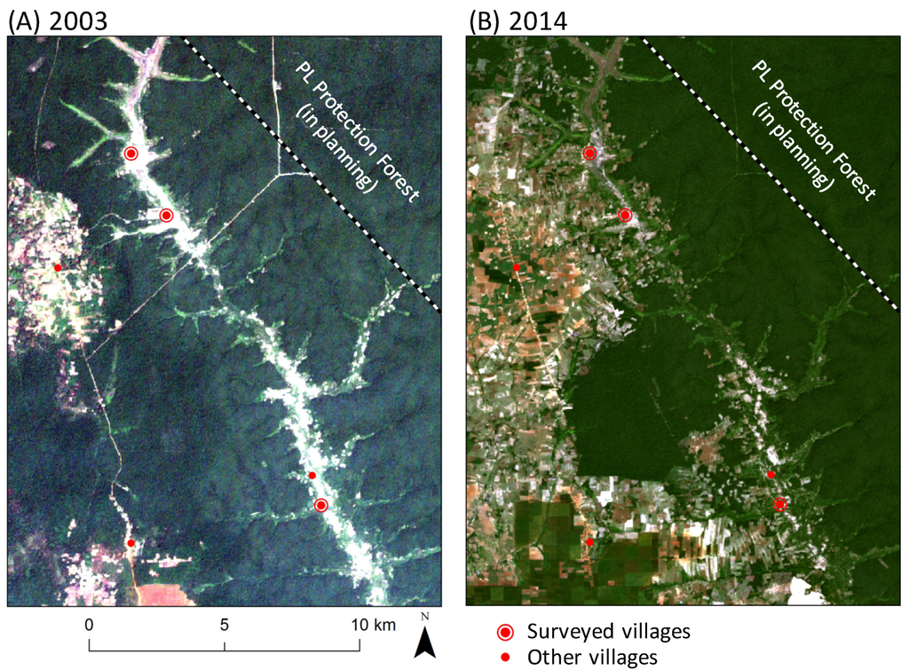 Forests 05 02865 g002 1024