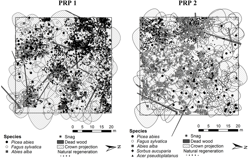 Forests 05 02929 g002 1024
