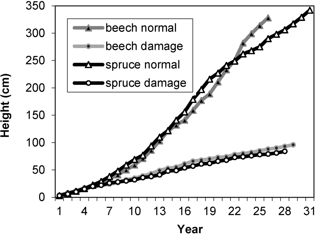 Forests 05 02929 g006 1024