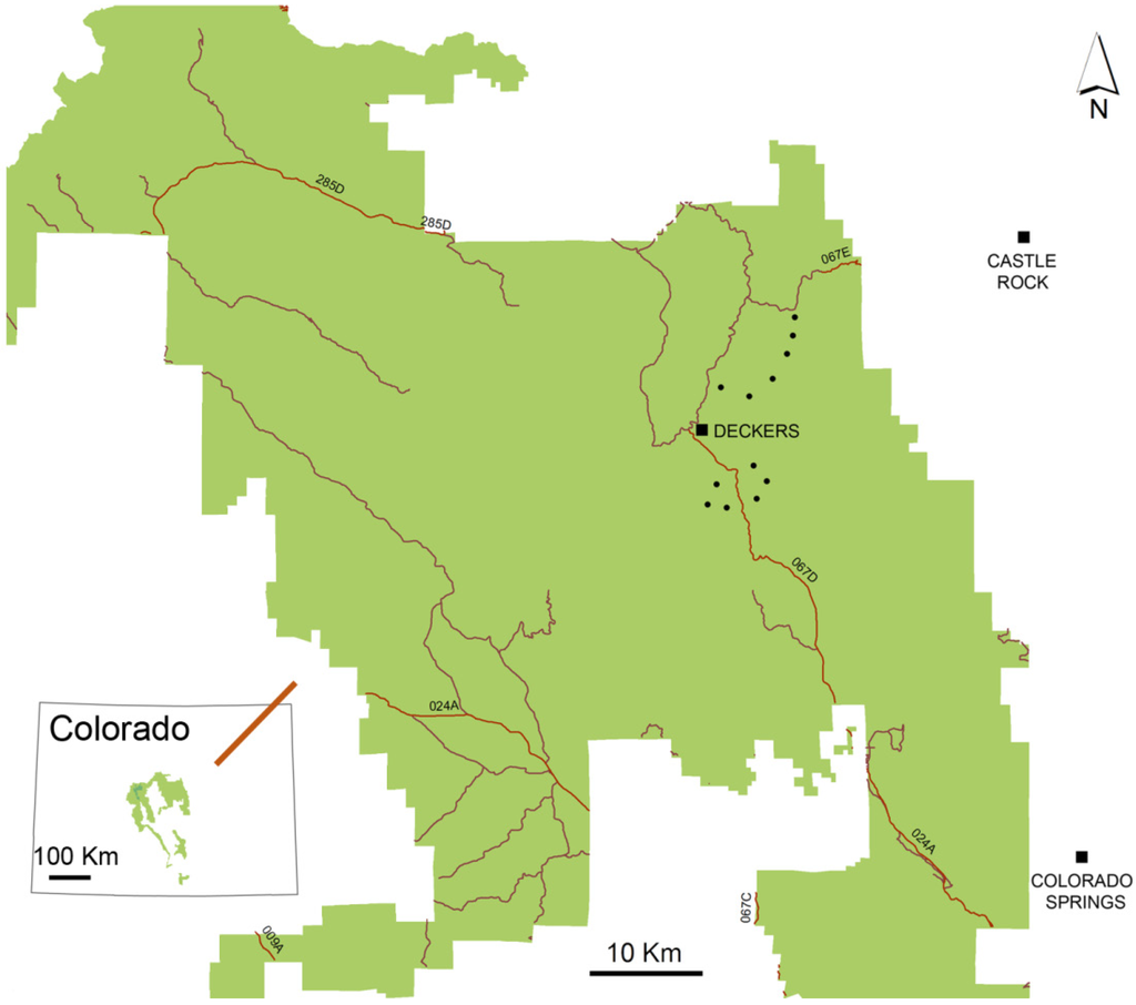 Forests 05 03131 g001 1024