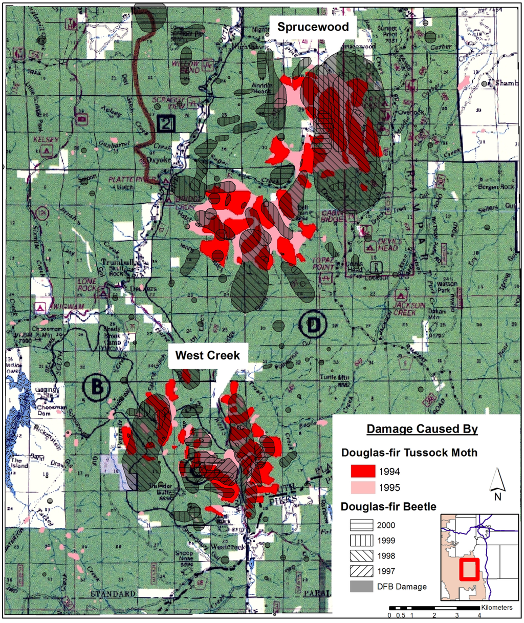 Forests 05 03131 g002 1024