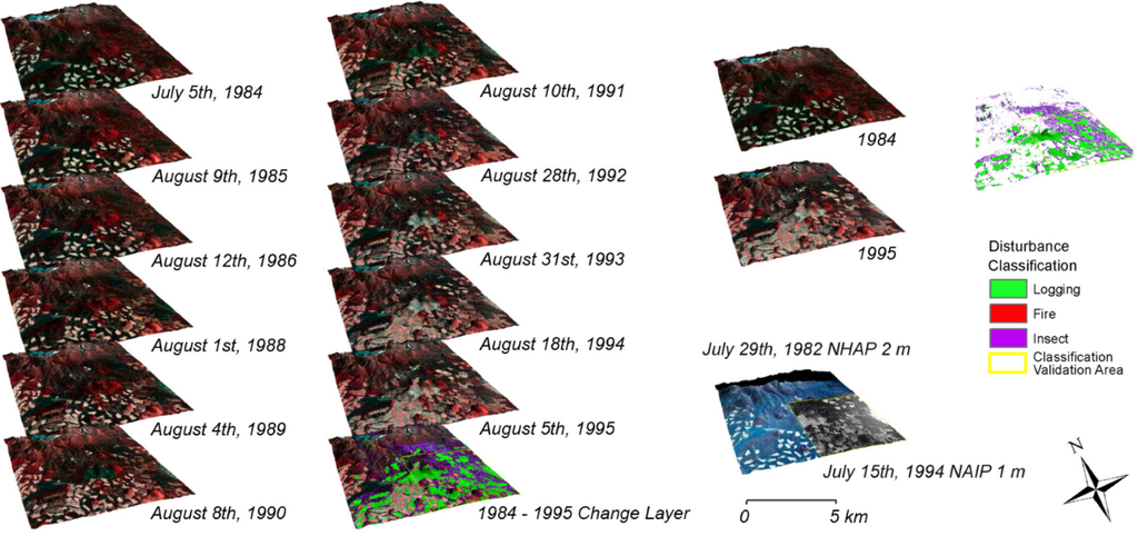 Forests 05 03169 g005 1024