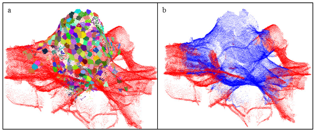 Forests 05 03274 g004 1024