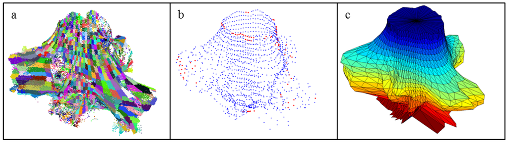 Forests 05 03274 g005 1024