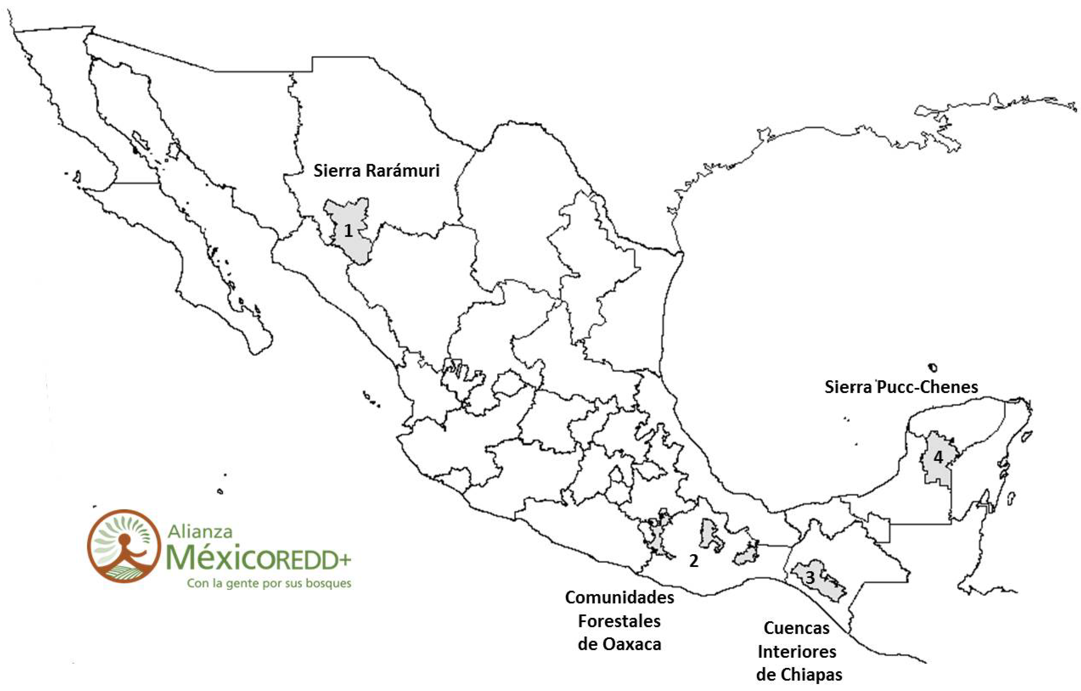 Forests 05 03295 g001