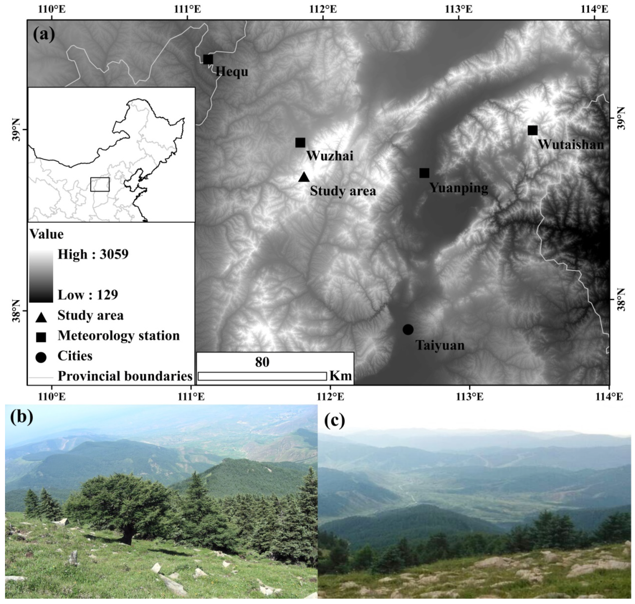 Forests 06 00116 g001