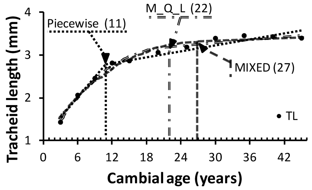 Forests 06 00183 g003 1024