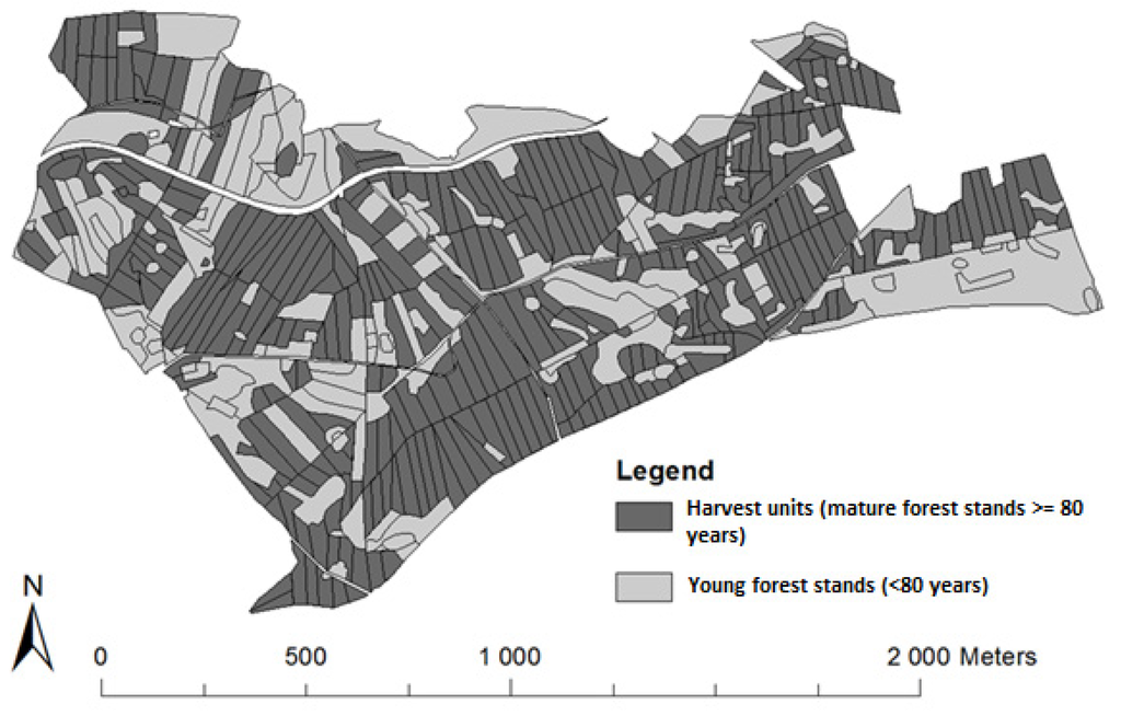 Forests 06 00328 g001 1024