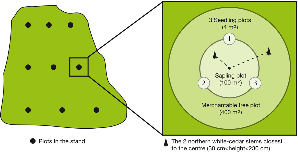 Forests 06 00344 g002 1024