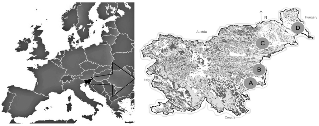 Forests 06 00581 g001 1024