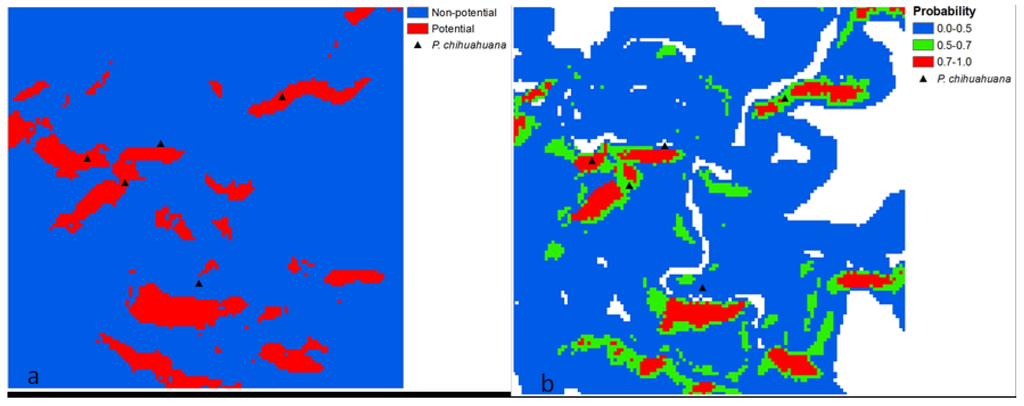 Forests 06 00692 g009 1024