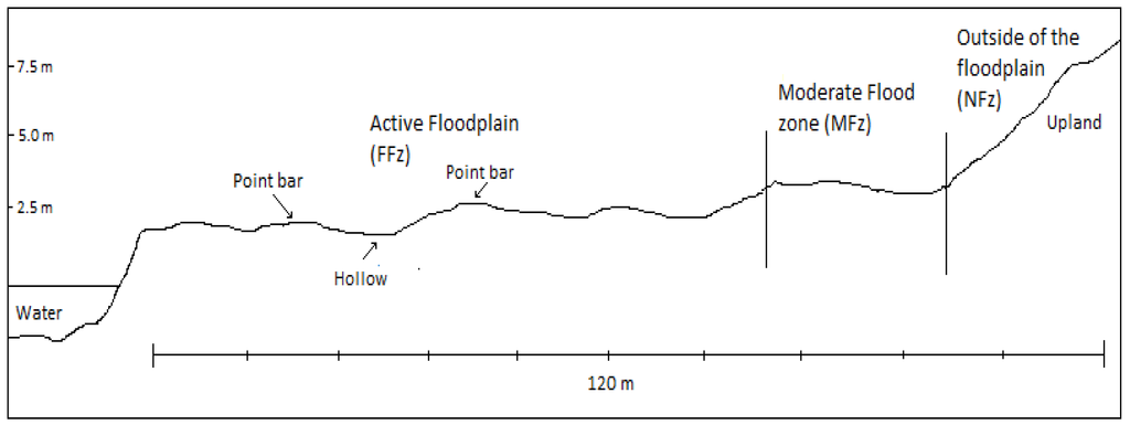 Forests 06 00929 g003 1024