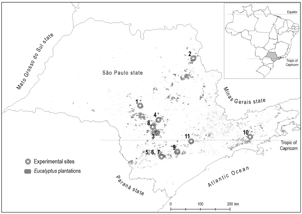 Forests 06 00973 g001 1024
