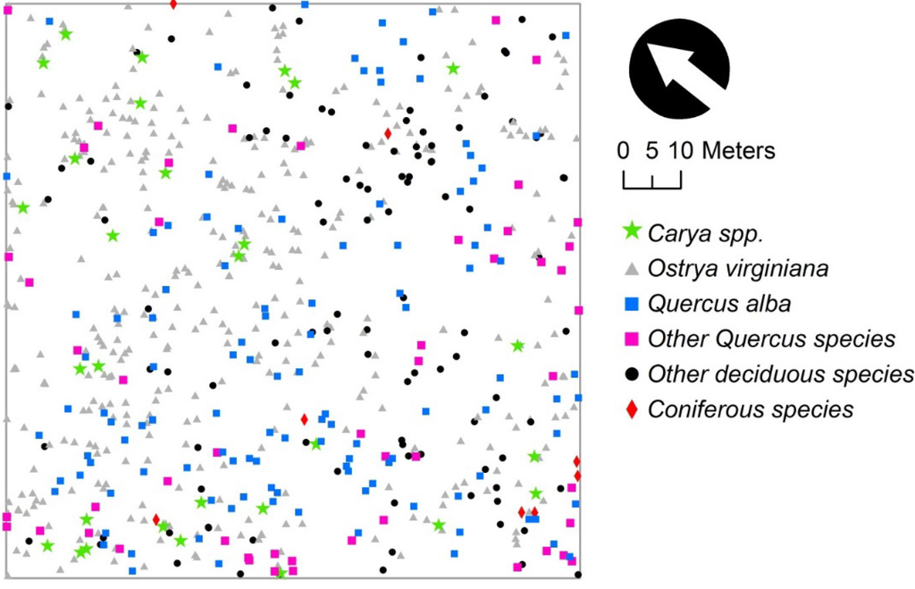 Forests 06 01121 g001 1024