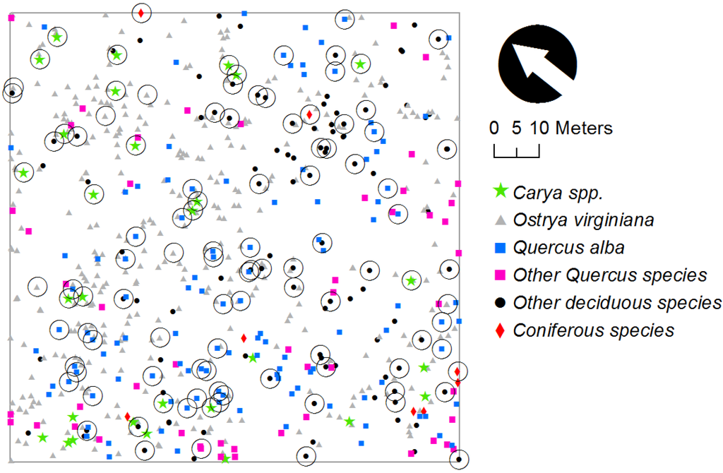 Forests 06 01121 g005 1024