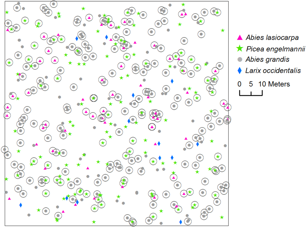 Forests 06 01121 g006 1024