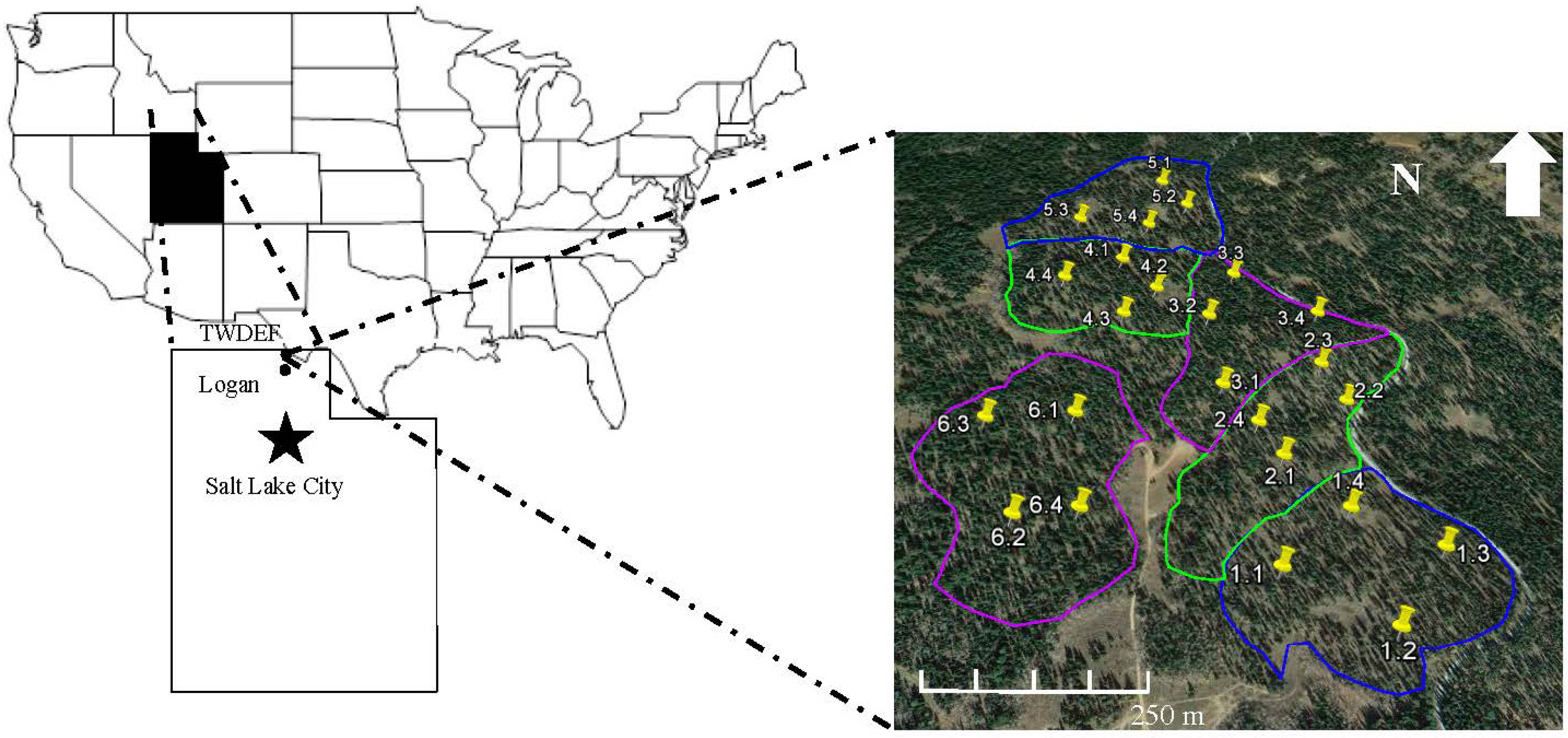 Forests 06 01157 g001