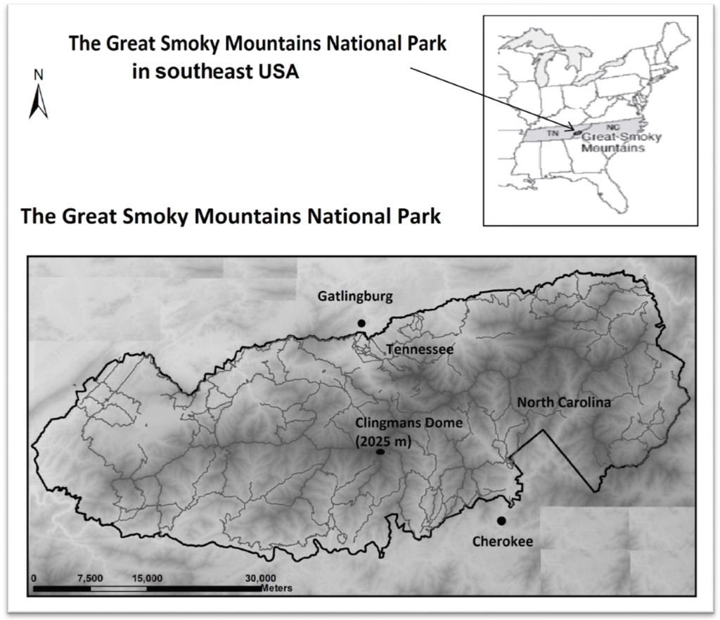 Forests 06 01208 g001 1024