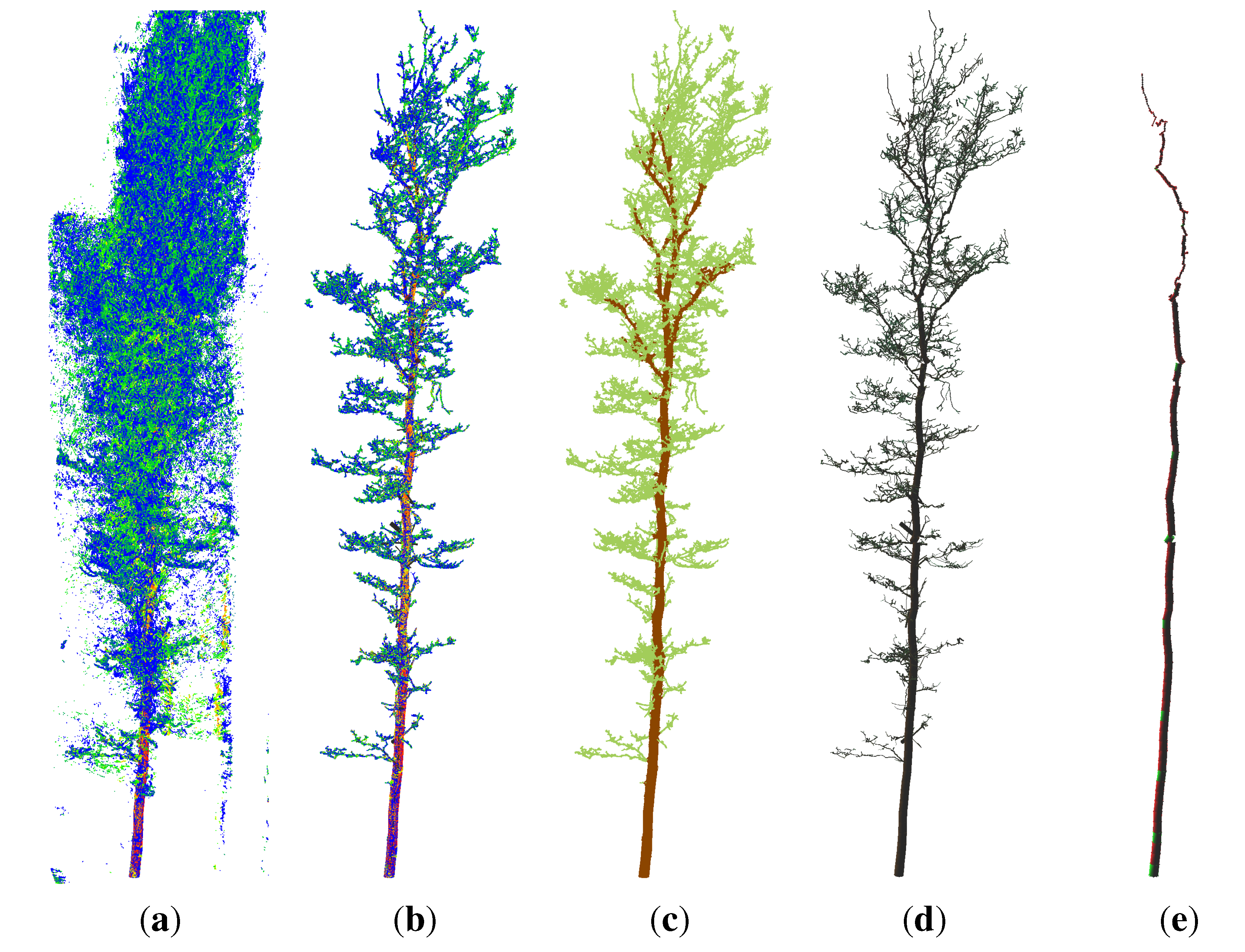 Forests 06 01274 g002