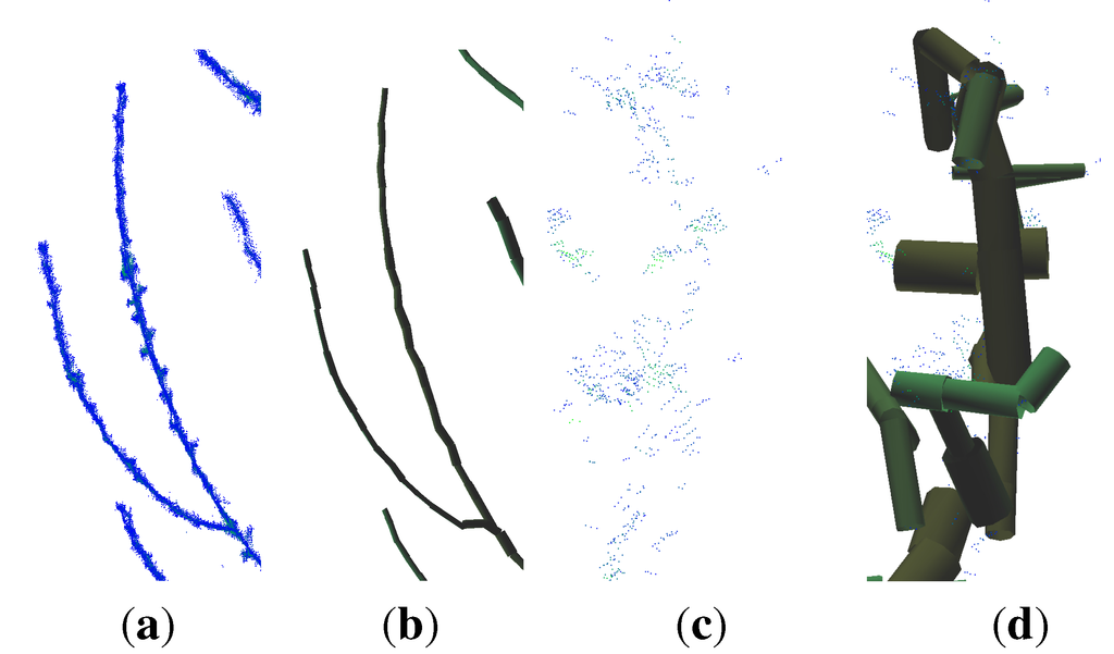 Forests 06 01274 g004 1024