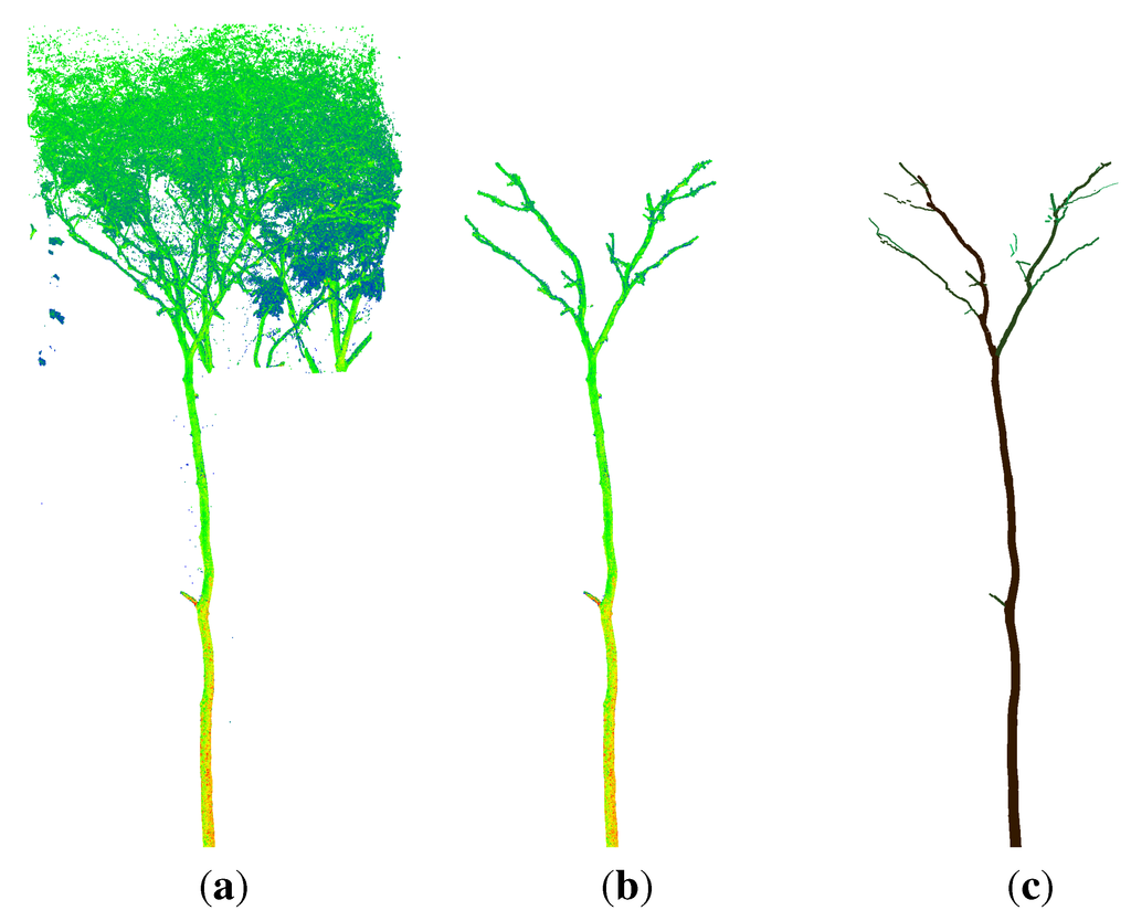 Forests 06 01274 g008 1024