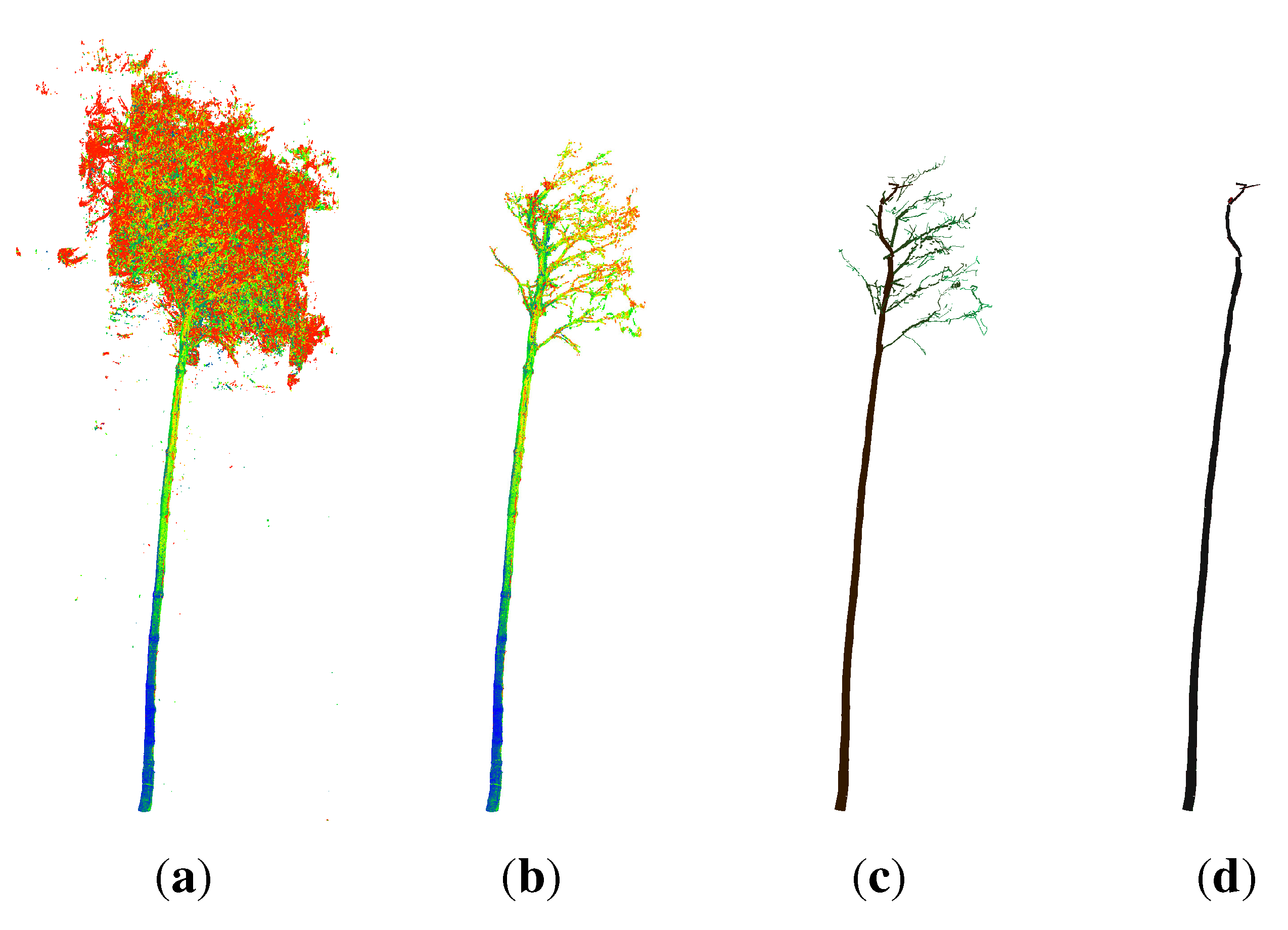 Forests 06 01274 g012