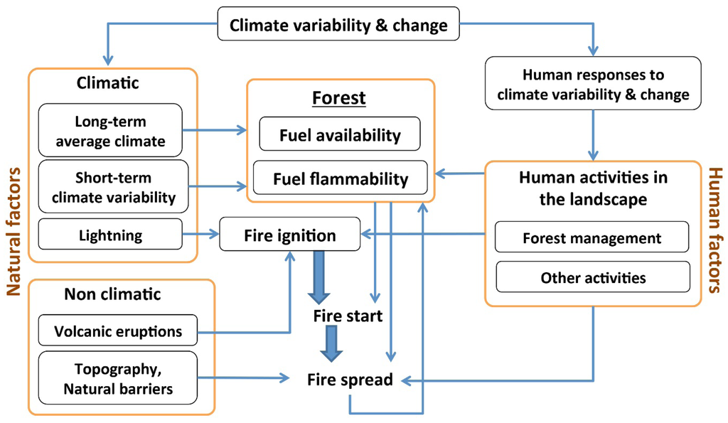 Forests 06 01476 g001 1024