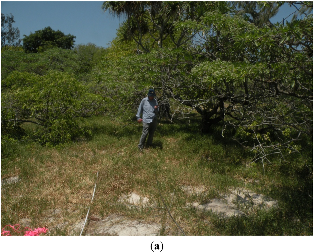 Forests 06 01557 g007a 1024