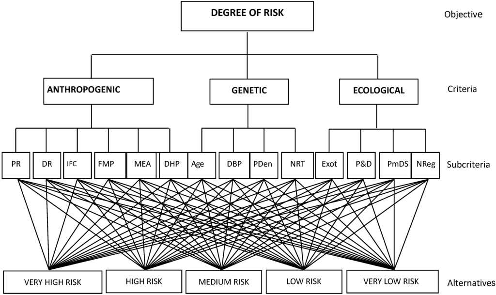 Forests 06 01598 g002 1024