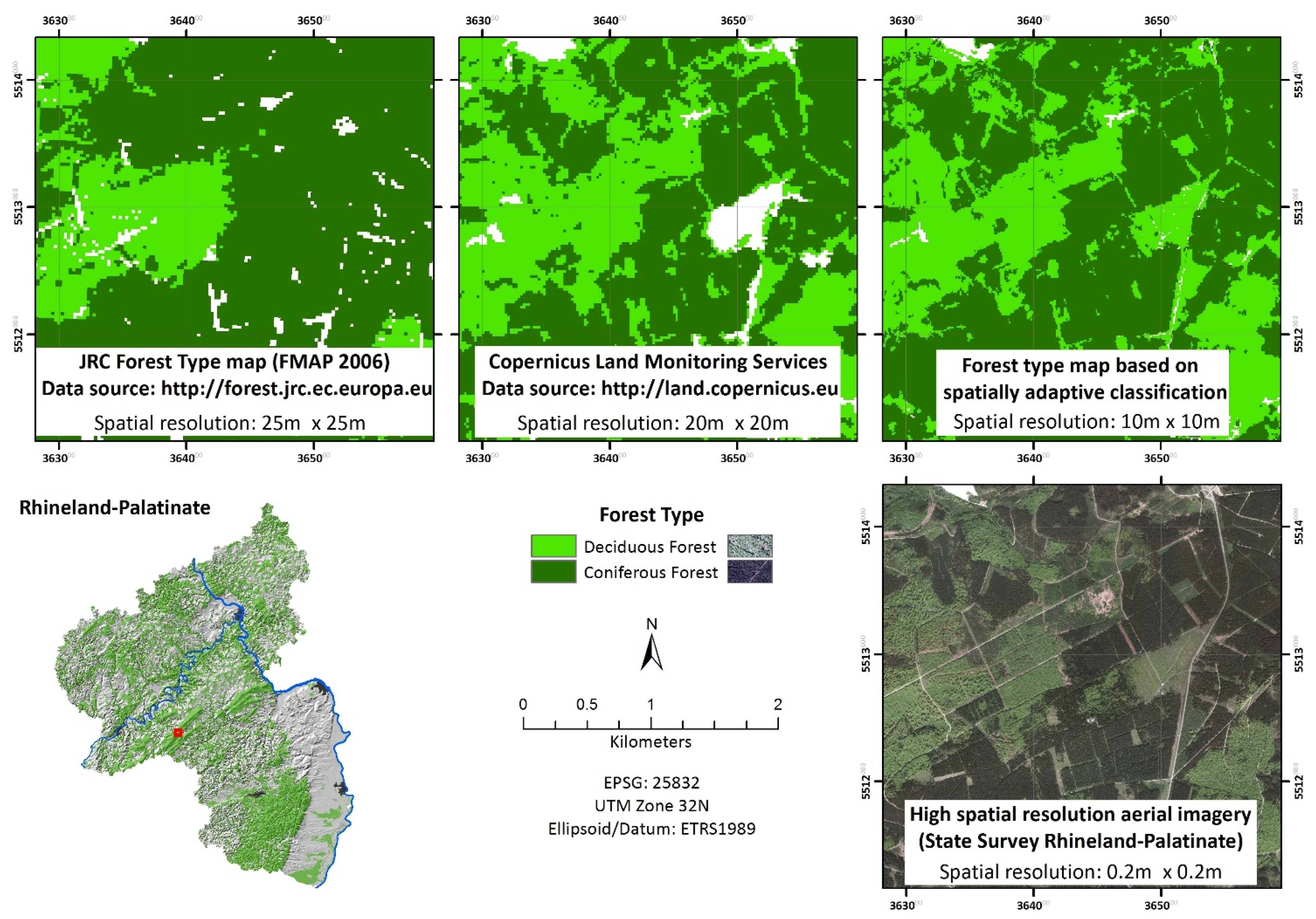 Forests 06 01982 g005