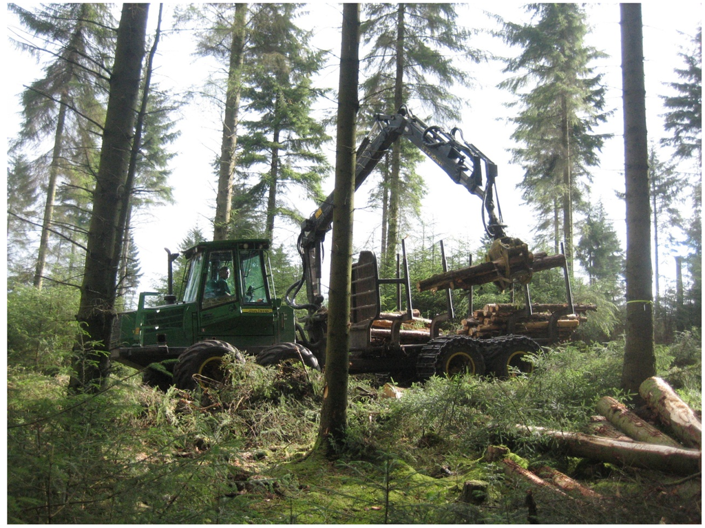 Forests 06 02424 g001 1024