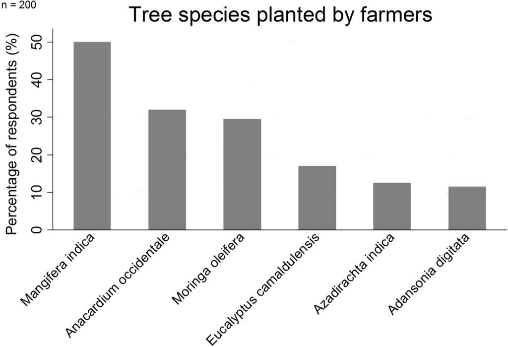 Forests 06 02655 g002 1024