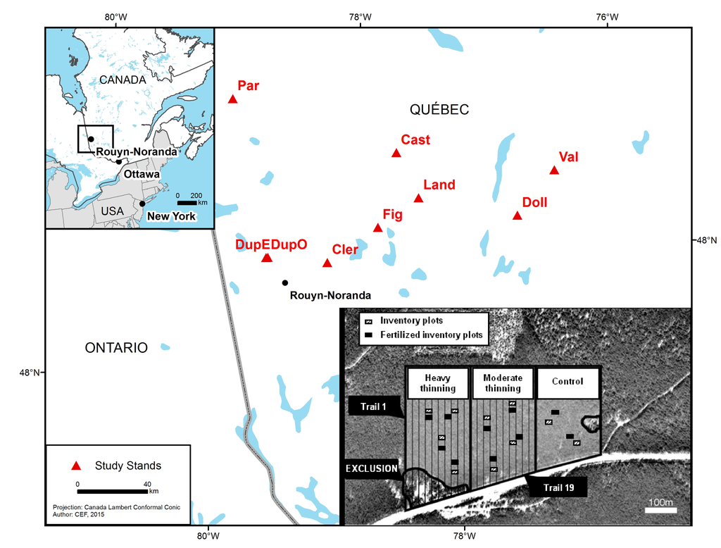 Forests 06 02678 g001 1024