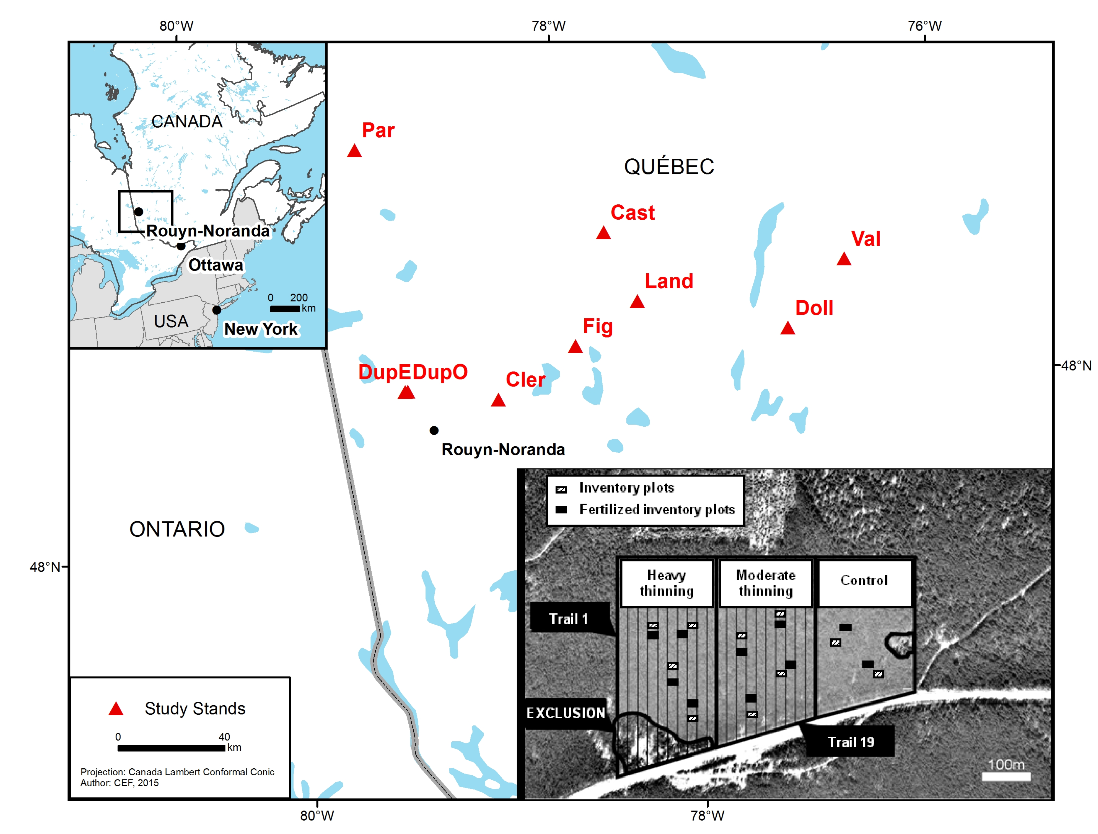 Forests 06 02678 g001